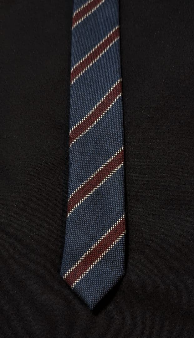 【 1度使用のみ 】Stefanobigi TOMORROWLAND ネクタイ