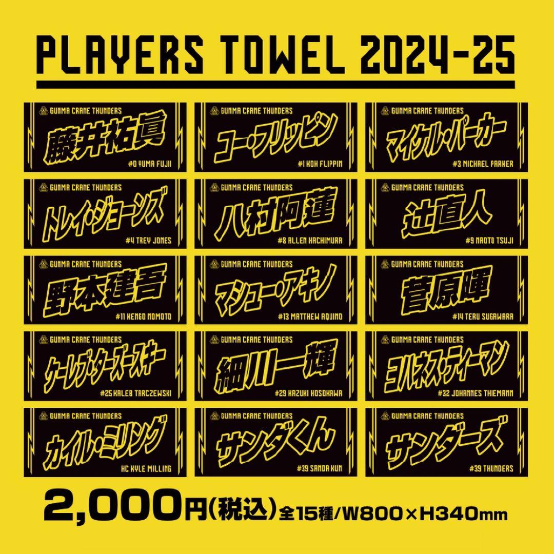 ウェア Under Armour Gunma Crane Thunders XL