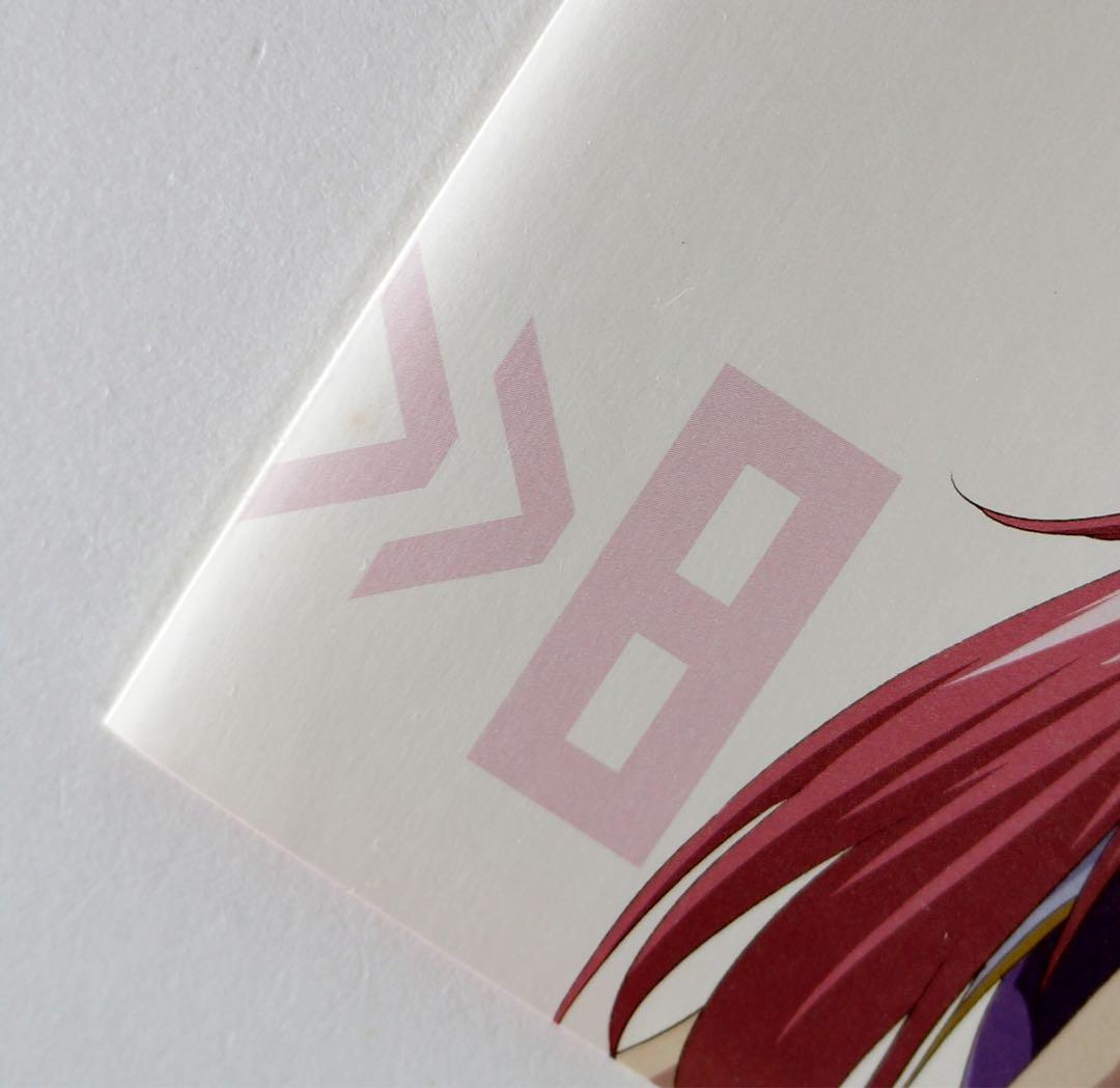 機動戦士ガンダムSEED・SEED DESTINY SUIT CD 10枚セット