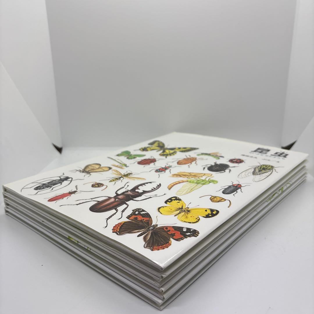 絵本まとめ売り 福音館書店　0歳～２歳児　幼児向け読み聞かせ絵本　26冊❗️