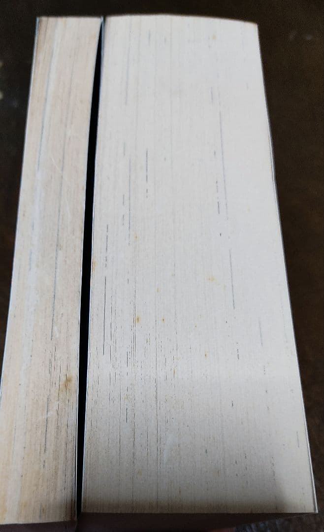 十二国記 小野不由美 英語版 the twelve kingdoms