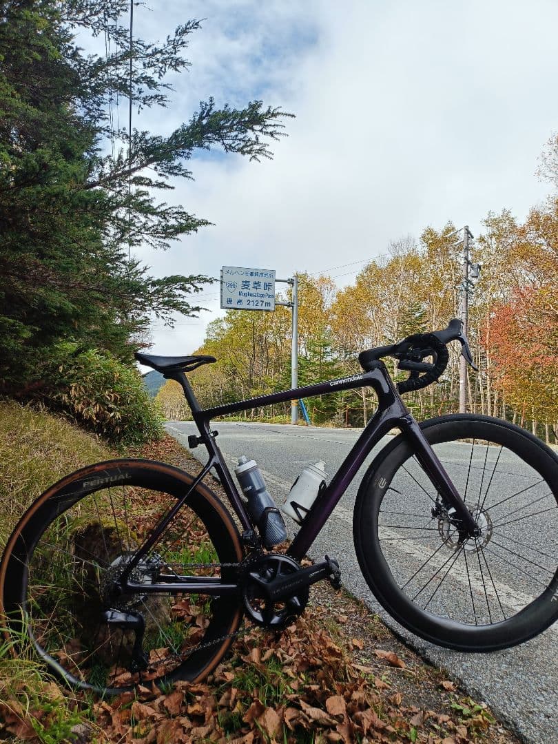 cannondale supersix evo フレームセット 56サイズ