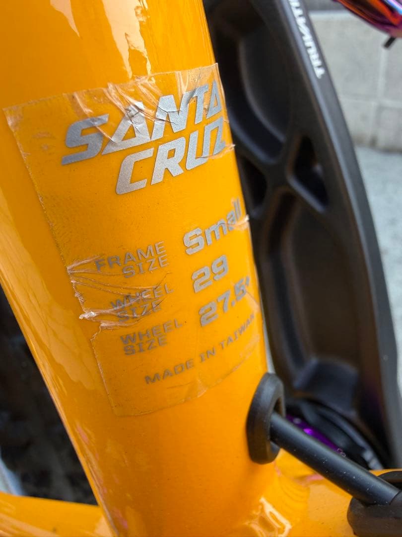 ① SANTA CRUZ chameleon カメレオン　サンタクルーズ　極美品