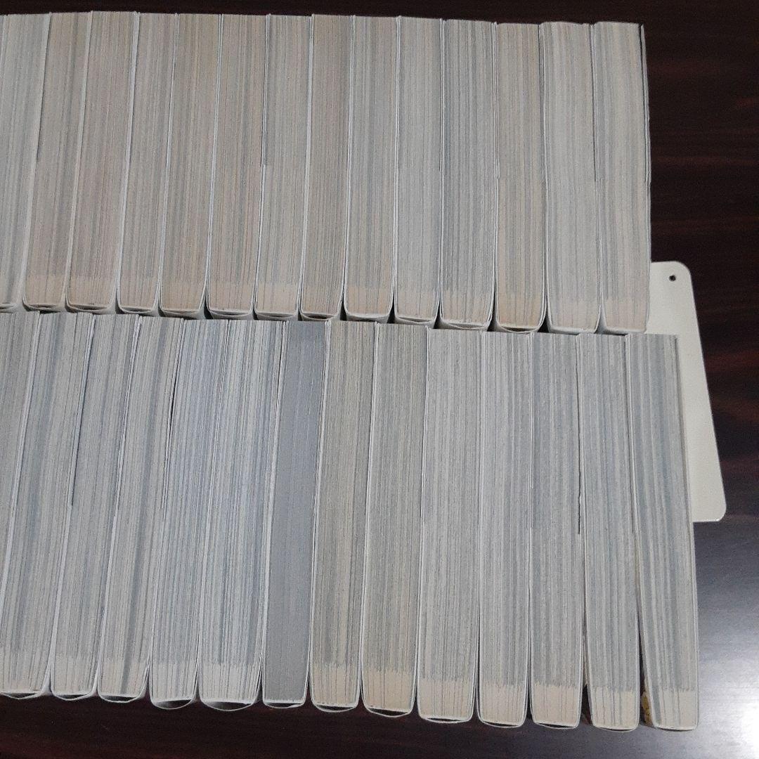 将国のアルタイル 全27巻完結セット外伝　嶌国のスバル　全7巻完結セット　+1冊