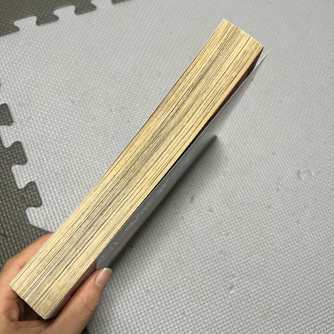 月刊IKKI ドロヘドロ 林田球 2011年1月号 表紙 本誌 切り抜き