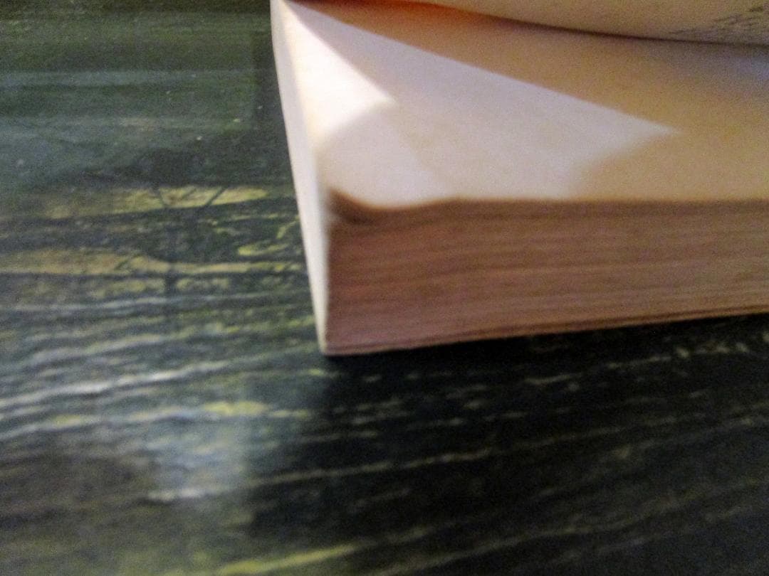 Mémoires sans mémoire　ジャック＝アンリ・ラルティーグ　仏語