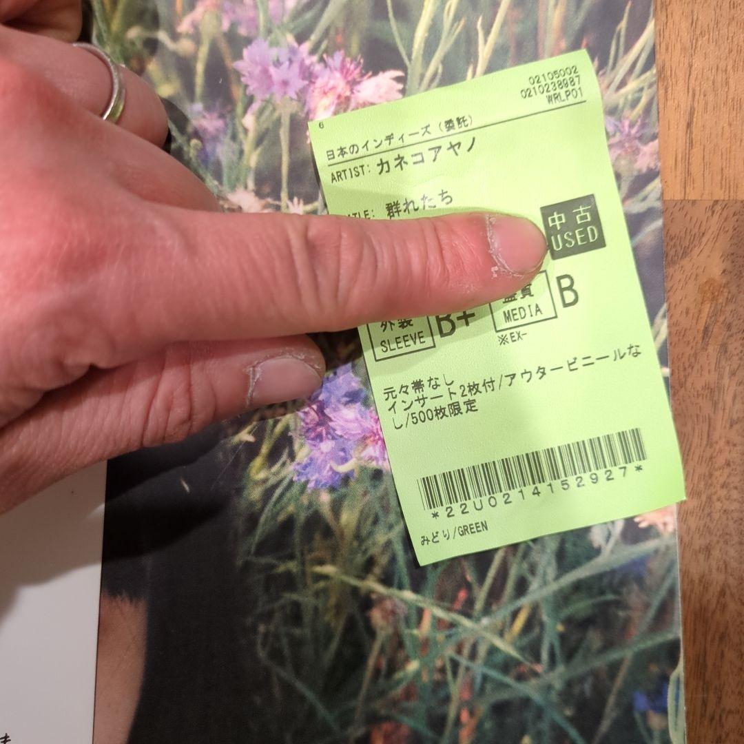 カネコアヤノ　レコード　群れたち