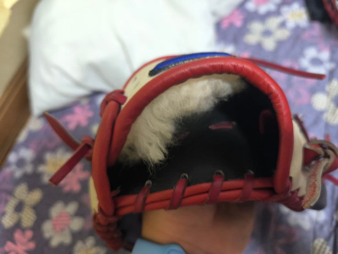 SBP（セイントボールパーク）硬式グローブ（外野）