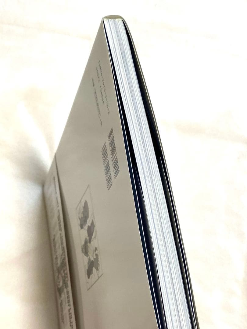 川元利浩仕事集Ⅱ 【川元利浩アートワークス　ザ・イルーシヴスII】