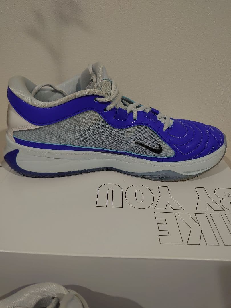 ナイキ エア　ヤニス　フリーク5　カスタムシューズ