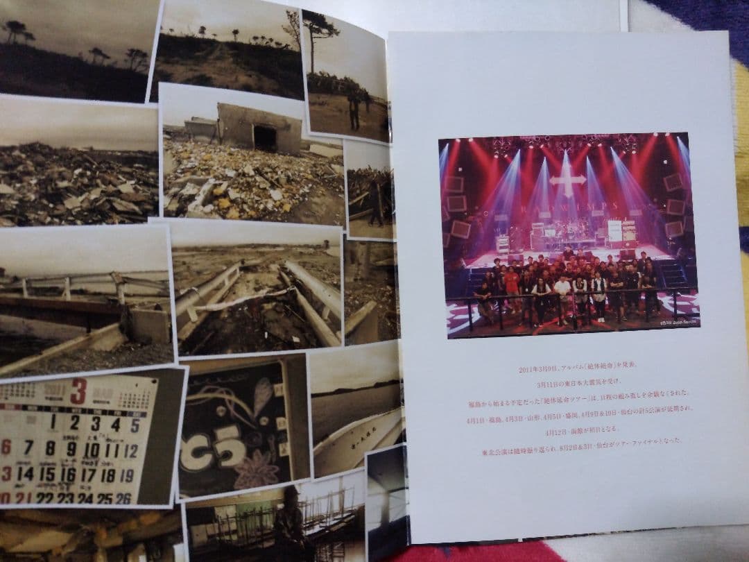 【RADWIMPS 絶体絶命】初回限定盤ライブDVD&CD