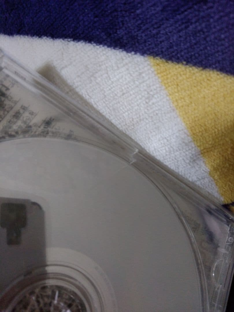 【RADWIMPS 絶体絶命】初回限定盤ライブDVD&CD