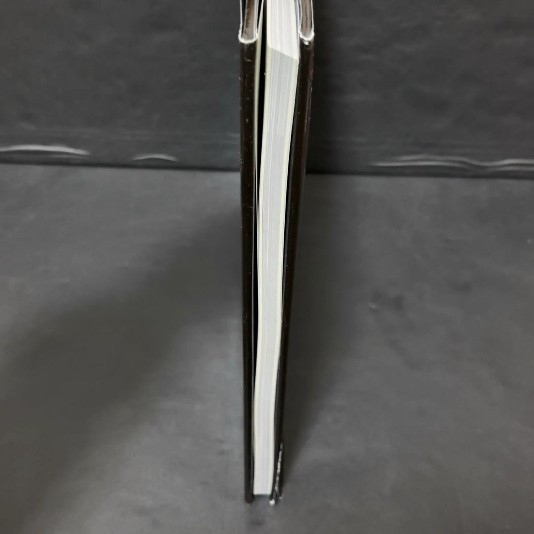 スカーレット・プリンセス ルーマニア ラドゥ・スタンカ劇場 公演 作品集 写真集