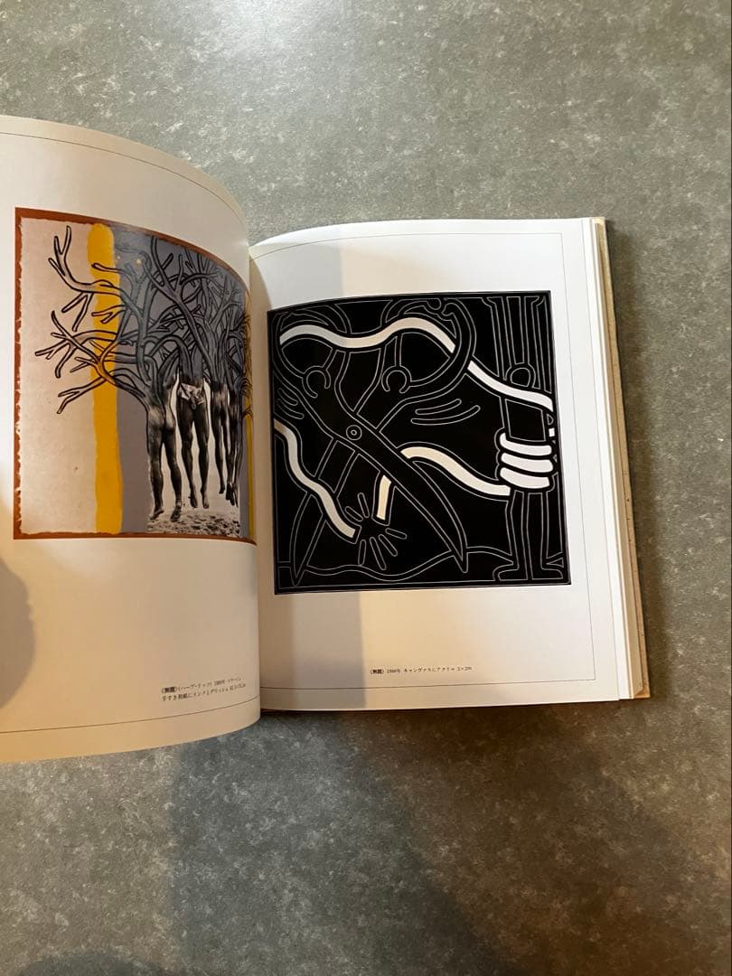 『キース・ヘリング』 ジョン・グルーエン / リブロポート