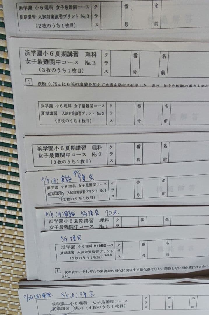 浜学園 小6 夏期講習 女子最難関コース国語算数理解 テキスト・復習テストセット