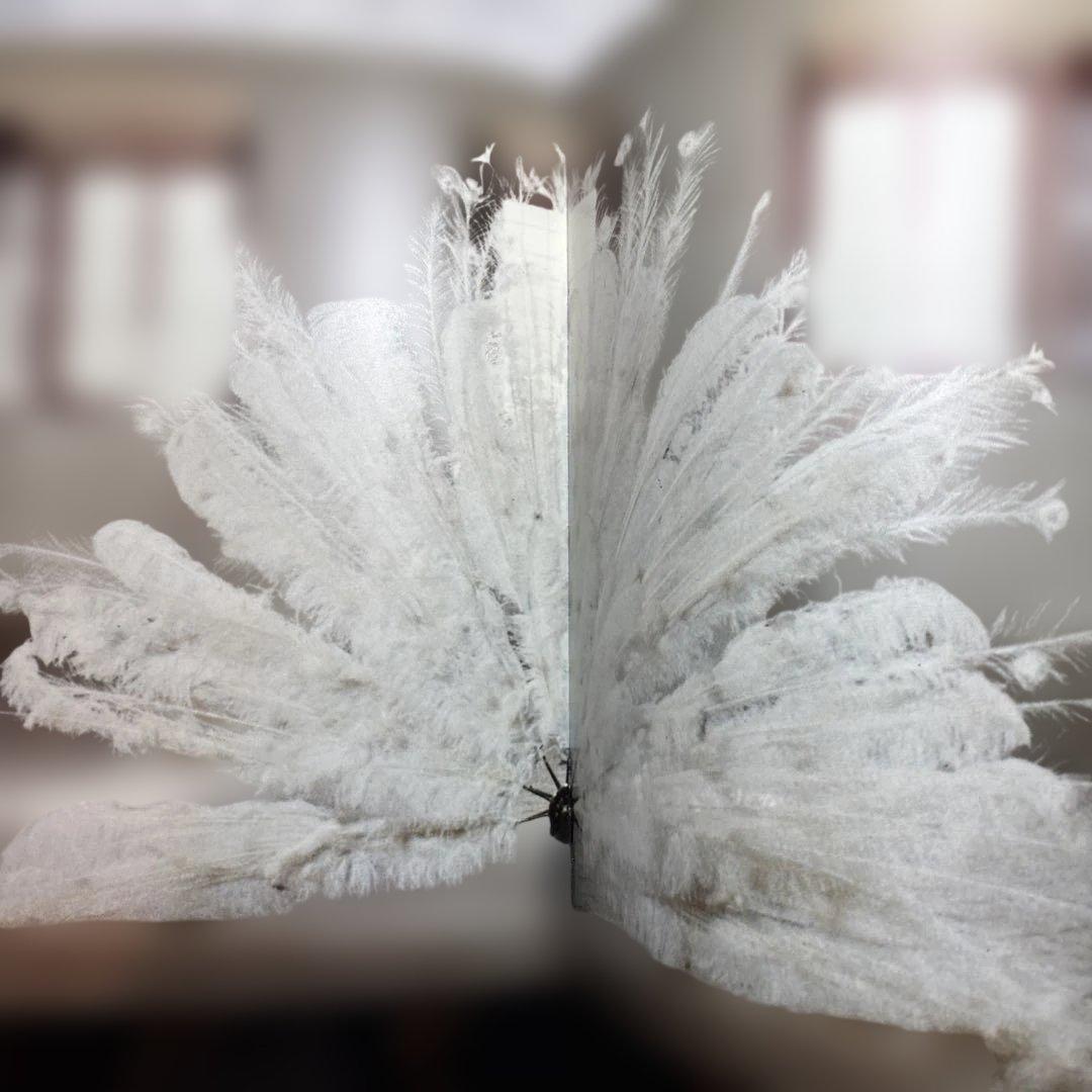 レベッカホルン　Rebecca Horn