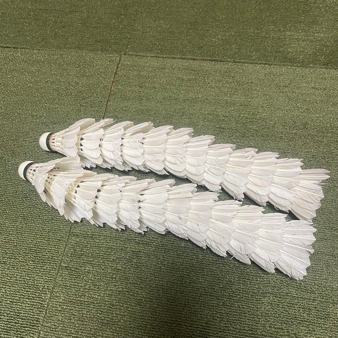 バドミントン 基礎打ちシャトル