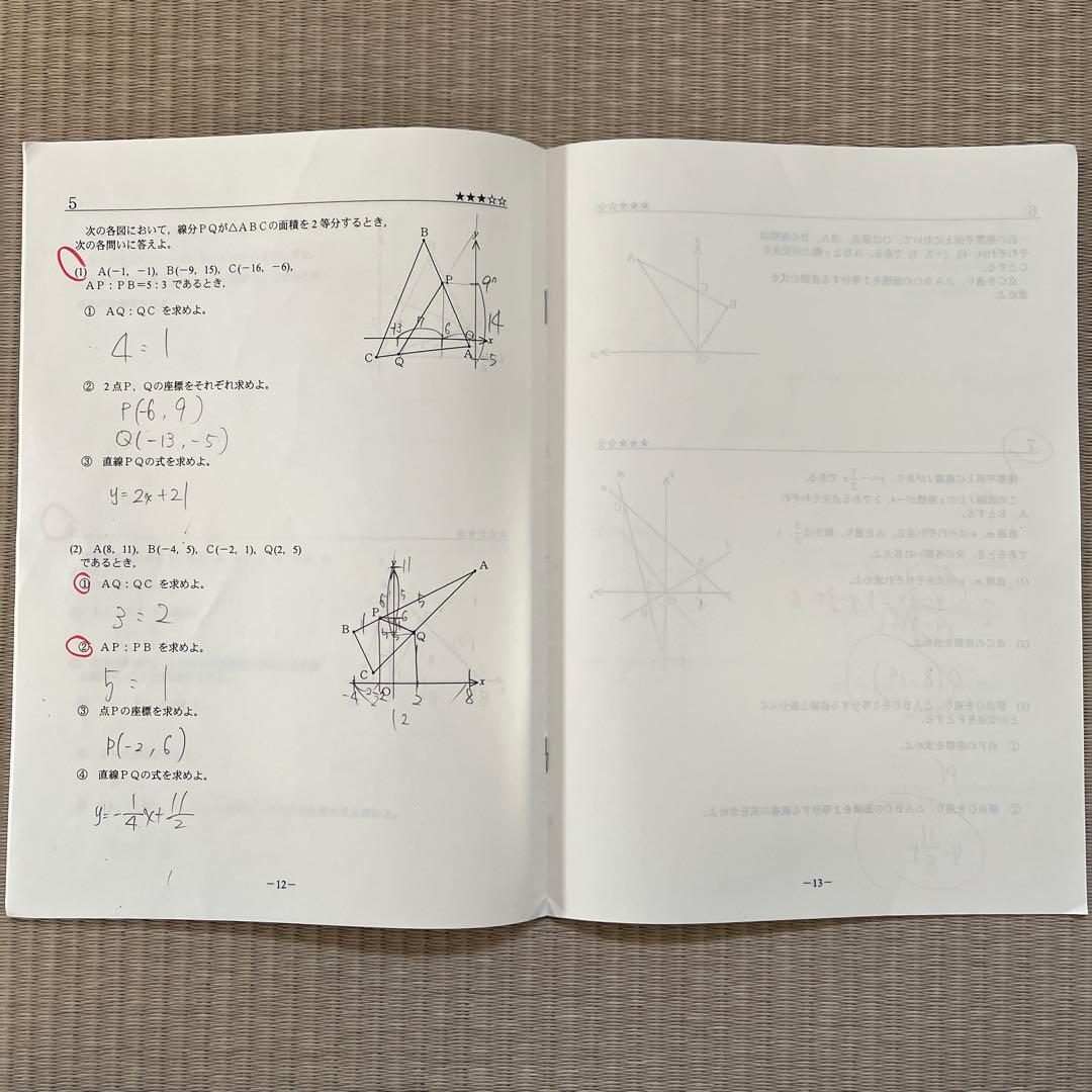 MAIN SAPIX 他 中学2年 数学