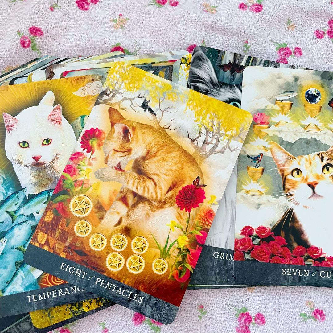 趣味・スポーツ・実用 GRIMALKIN'S CURIOUS CATS TAROT