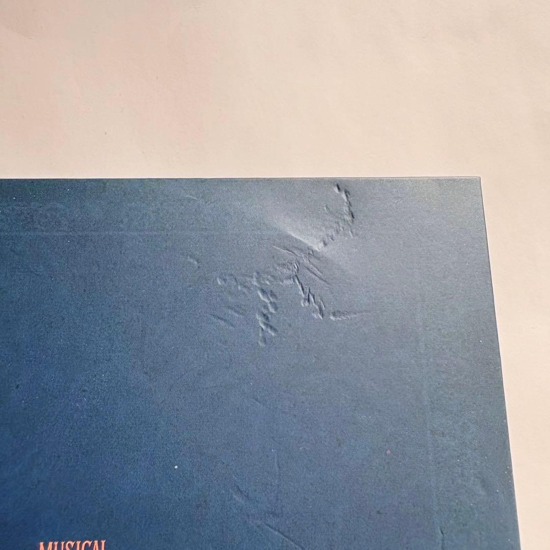 ワイルドグレイ 2025 OST