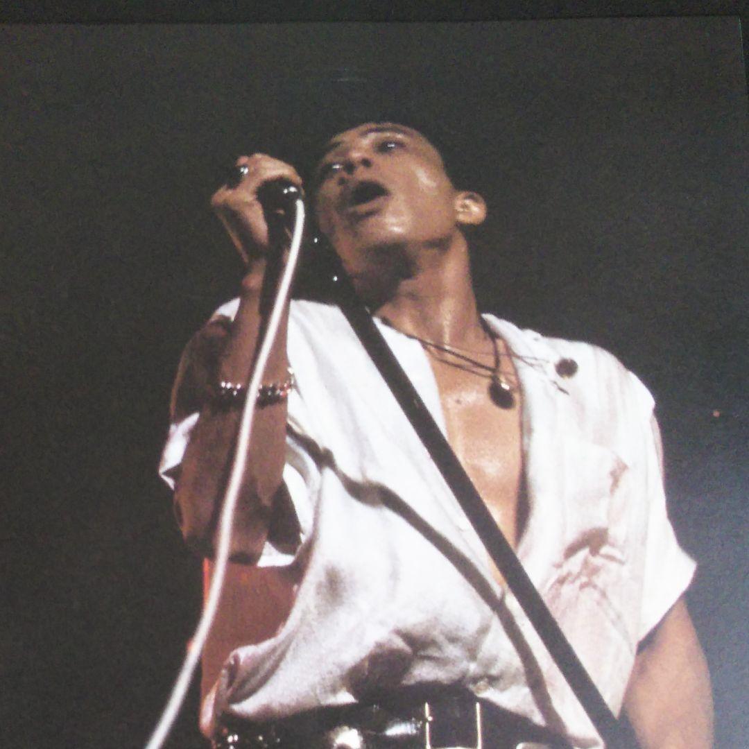 舘ひろし　THE  SEXY  DYNAMITE　ツアー　パンフ　希少