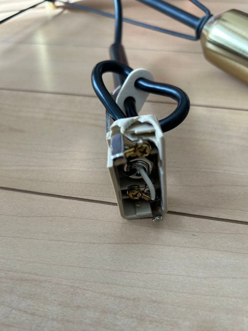 【最終】フライミーパーラー / ペンダントライト #105298黒金