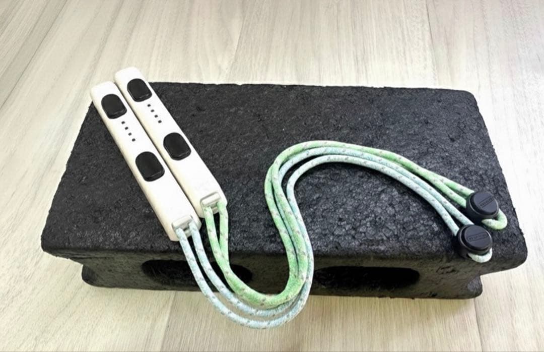 美品！あつまれどうぶつの森限定版液晶新型NintendoSwitch本体一式