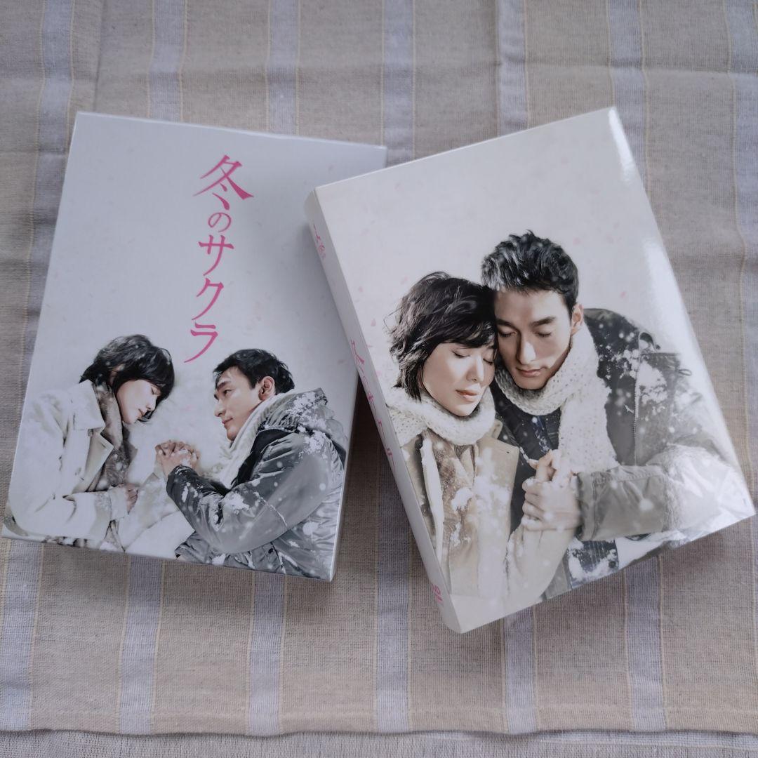冬のサクラ DVD