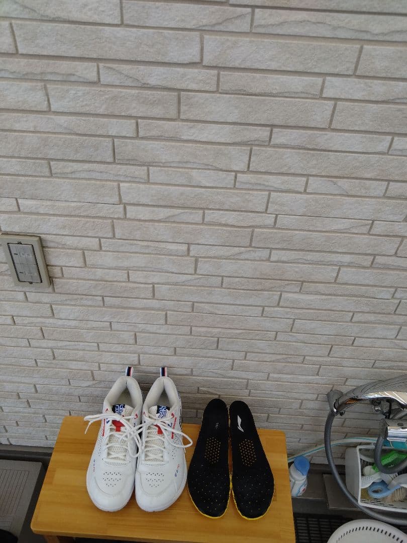 リーニン バドミントンシューズ AYAT005-1Cサイズ27cmおまけ付き！