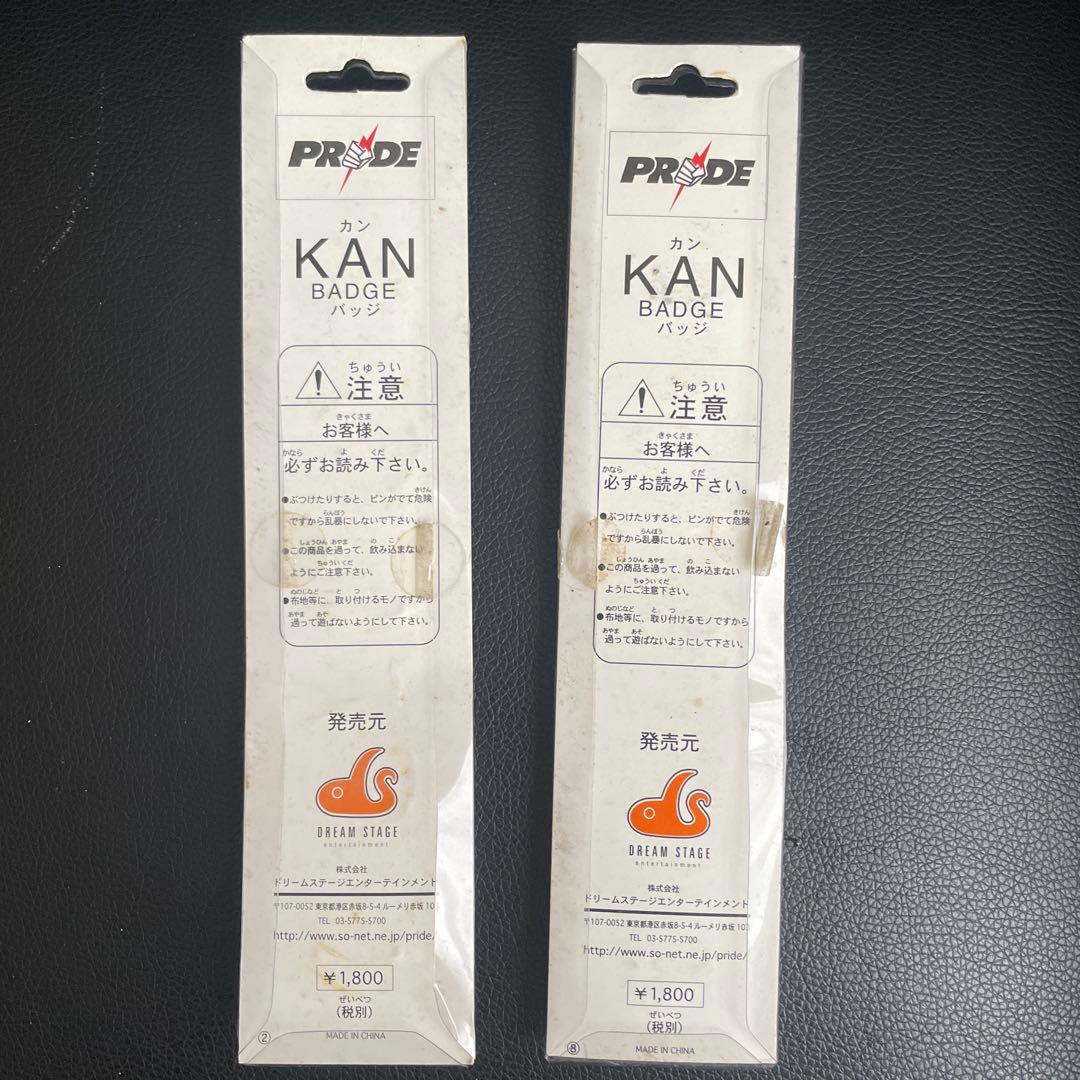 PRIDE 公式 グローブ おまけ付き