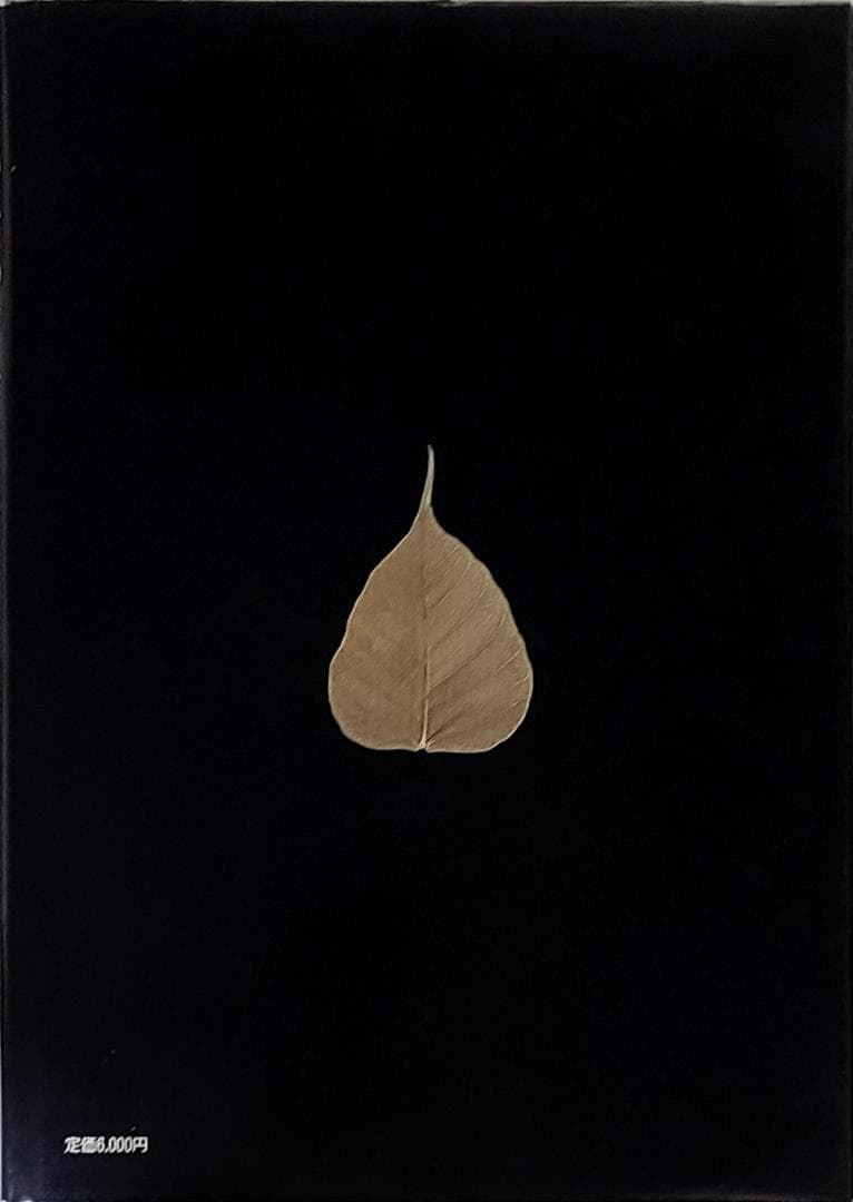 礼拝の佛の美 福井照明作品集