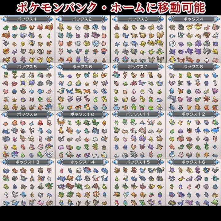 ポケットモンスター　ウルトラサン　3DS【ウルトラサンムーン】　ポケモン 005