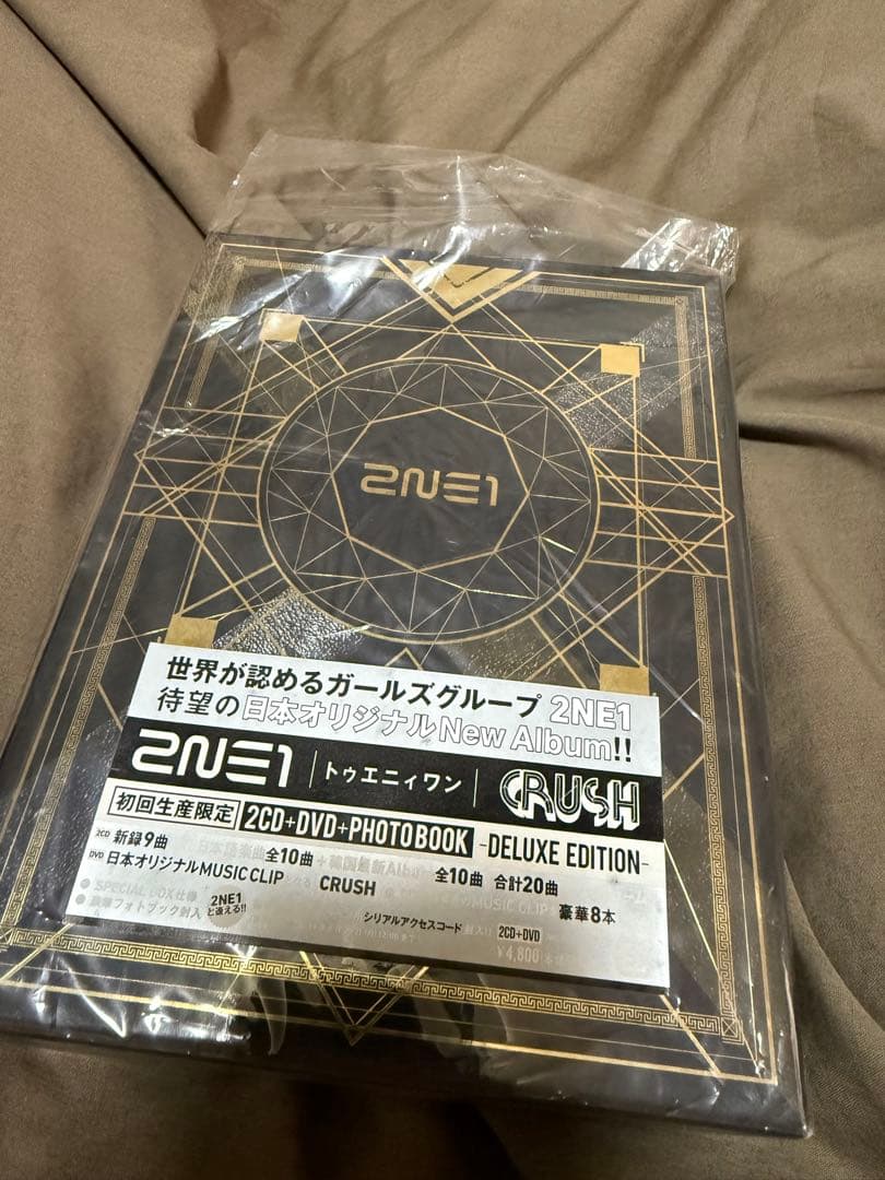 まとめ売り　2NE1 CD DVD
