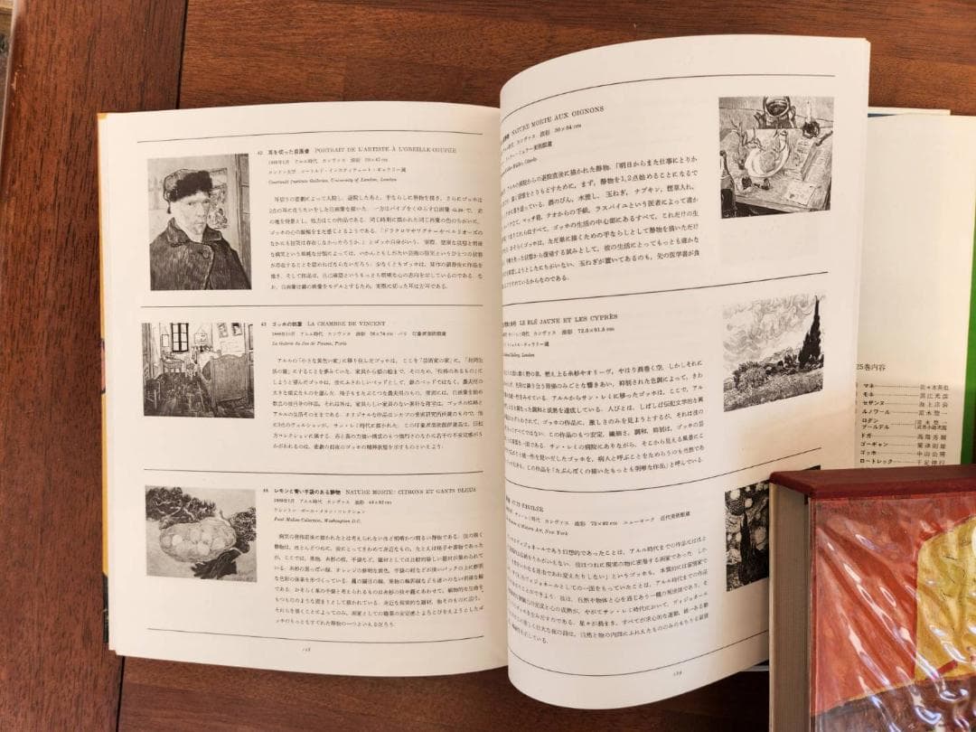 現代世界美術全集　全25巻②後半14-25巻　ピカソ、シャガールほか