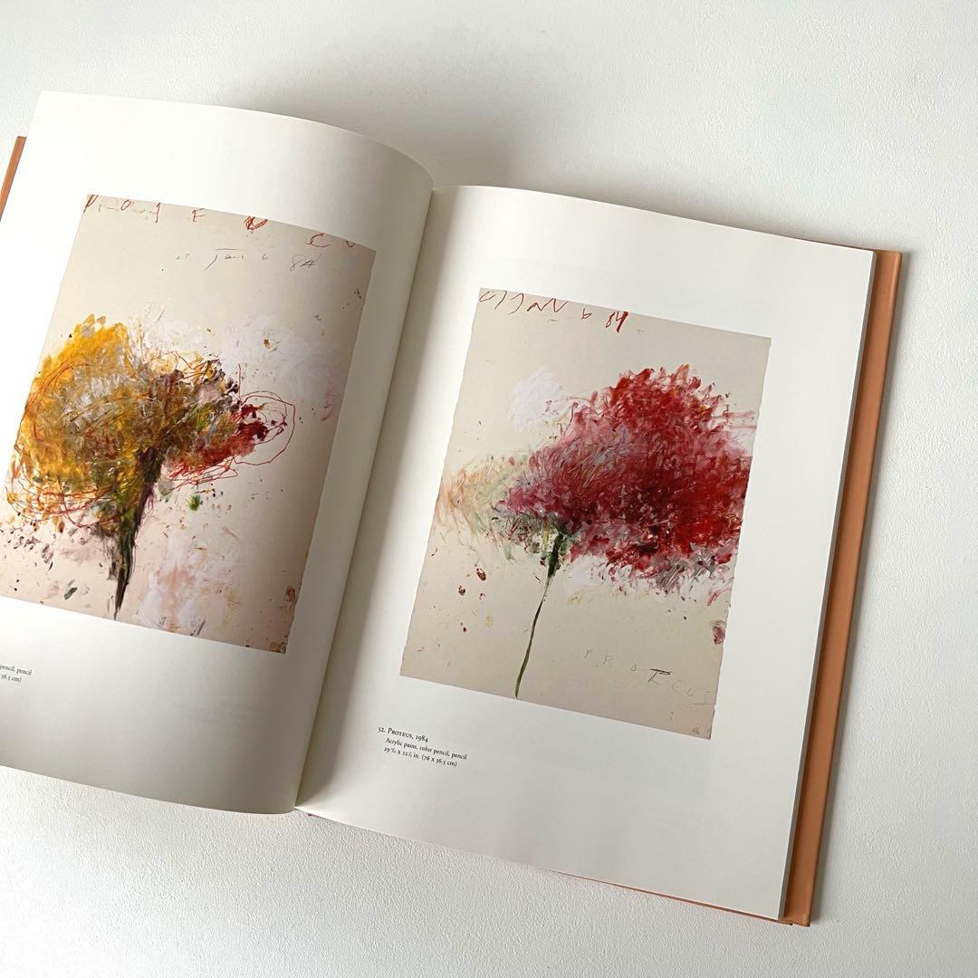 【美品】 CY TWOMBLYサイ・トゥオンブリ 作品集