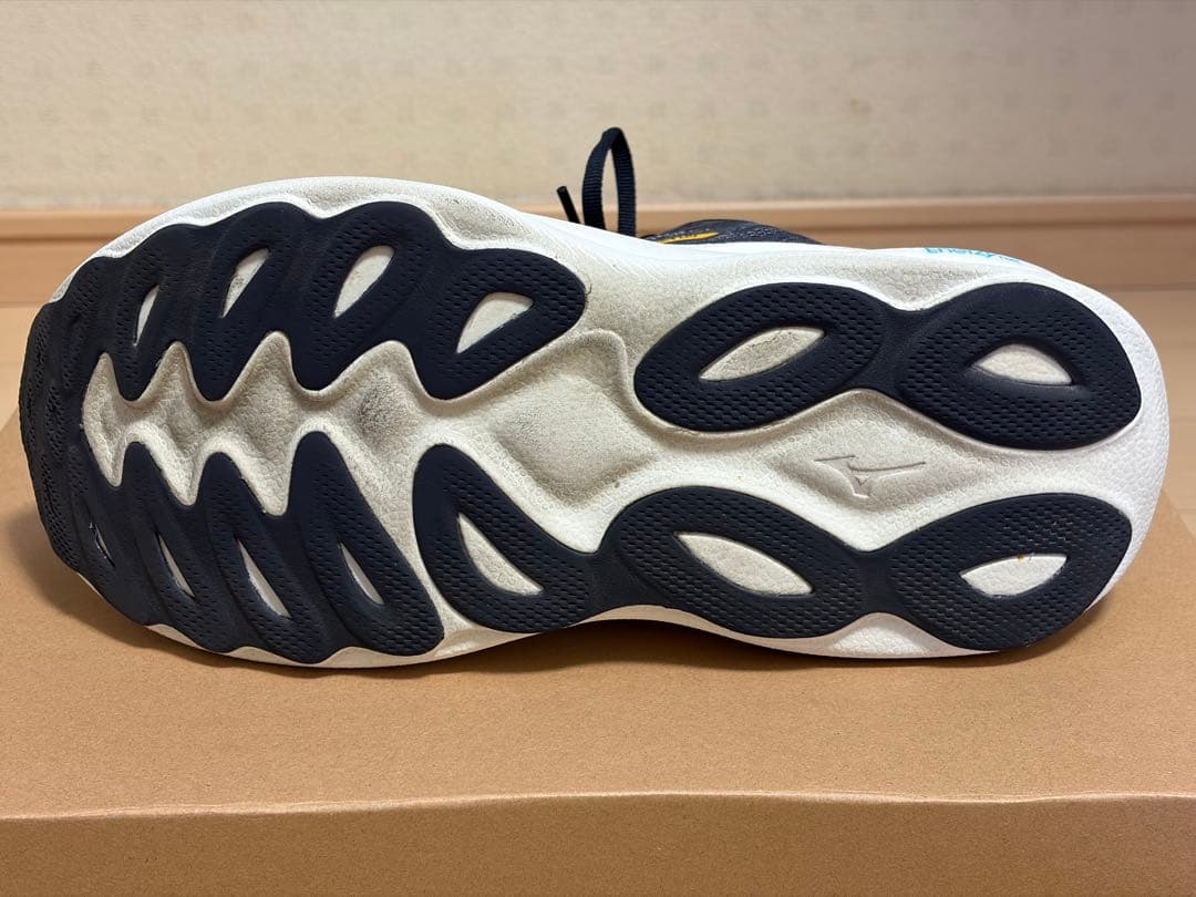 ミズノ WAVE SKY 9 27.5cm(2E)