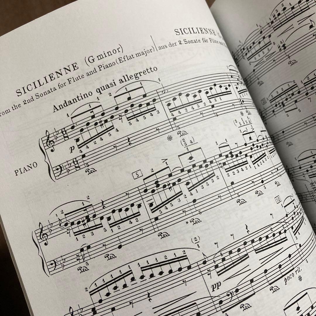 PAUL WITTGENSTEIN/ 左手の為のピアノ編曲集 UNIVERSAL