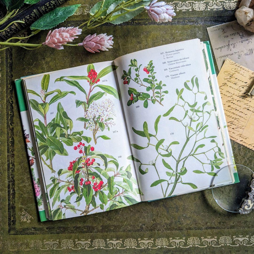 てん　おまとめ