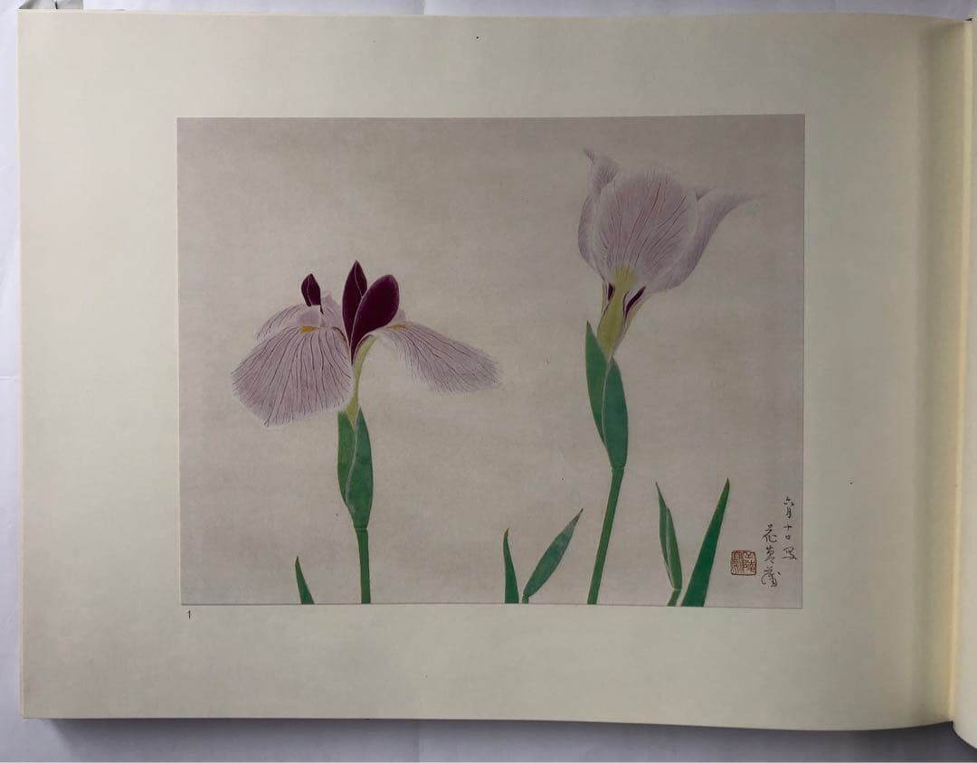 『傳神譜』中村岳陵　写生画集 4冊揃281点　四季の植物　風景　古美術　大型本