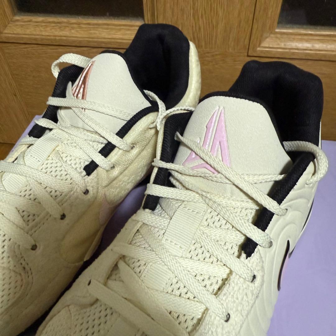 Nike JA2 EP 27.5cm バッシュ