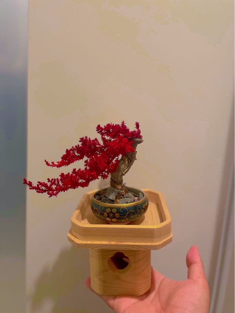 REBONSAI】枯れない盆栽アートTOUFU TOKYO
