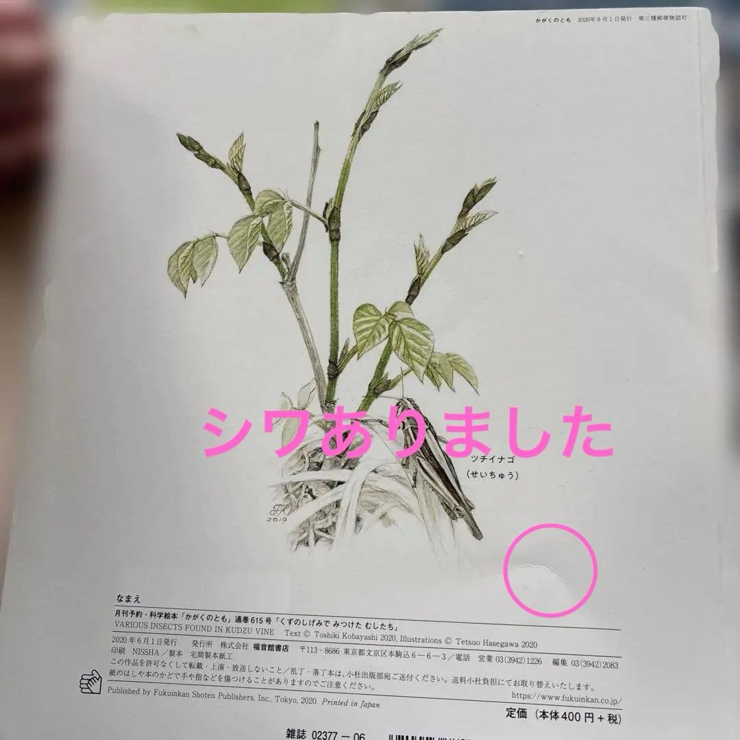 月刊かがくのとも　絵本シリーズ 全26冊