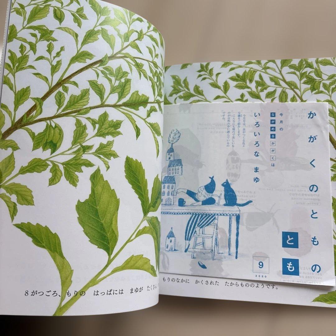 月刊かがくのとも　絵本シリーズ 全26冊