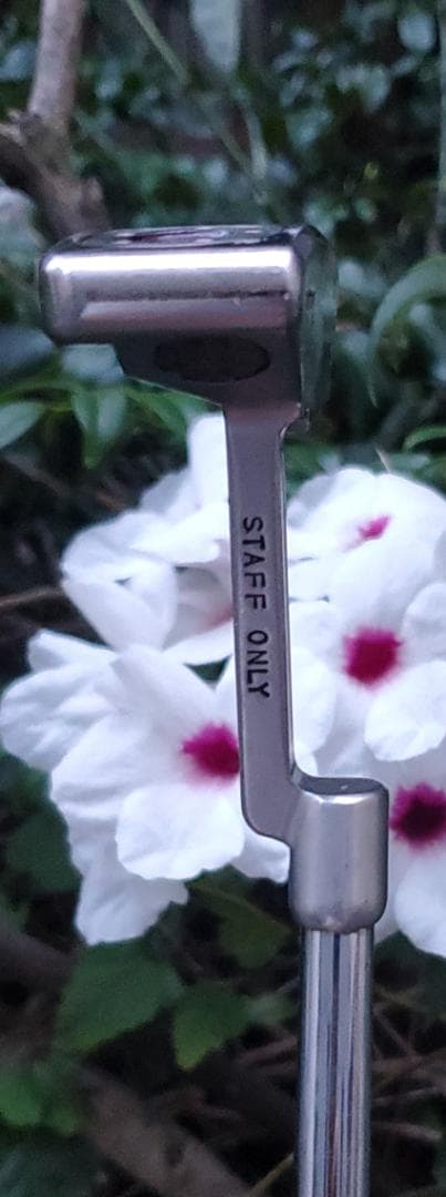 Gold's Factory:Shingo 45. ゲージ設計 M.Sasaya