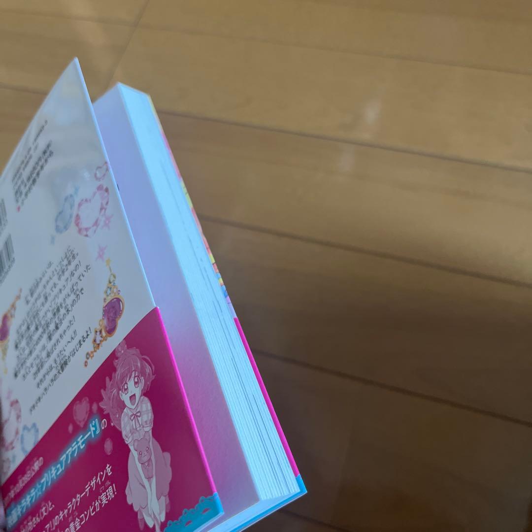 小説 魔法つかいプリキュア! いま、時間旅行って言いました!?