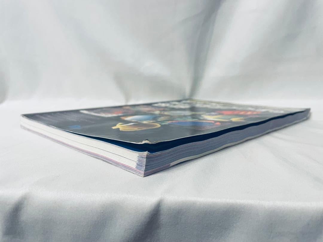 ヤツコ&チョウチョウウオの世界MarineFull courseBookVol2