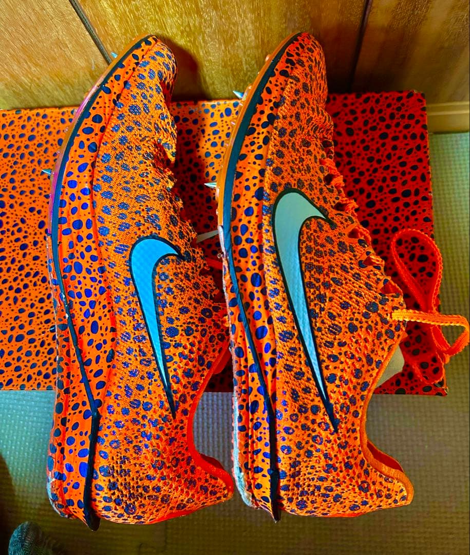 NIKEドラゴンフライ2エリート25.5cm