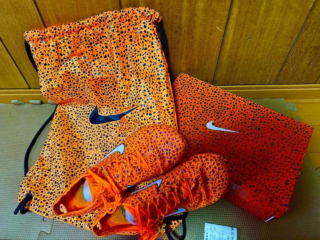 NIKEドラゴンフライ2エリート25.5cm