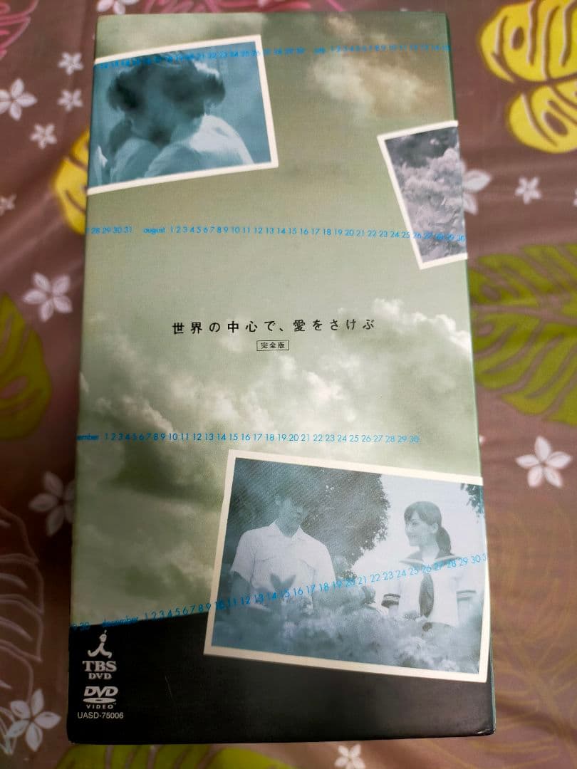 DVD-BOX 世界の中心で、愛をさけぶ 完全版〈6枚組〉 ドラマ 綾瀬はるか