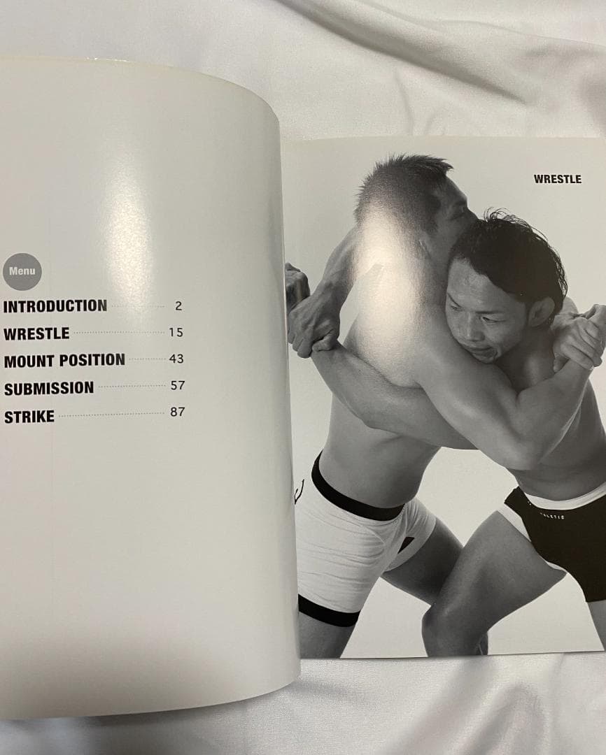 CD-ROM動作確認済み ハイパーアングルポーズ集 マッスルバトル